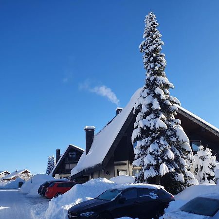 Ferienhaus-Schoenwald Im Herzen Des Schwarzwaldes 1Zimmer Wohnung Mit Terrasse App17 Extérieur photo