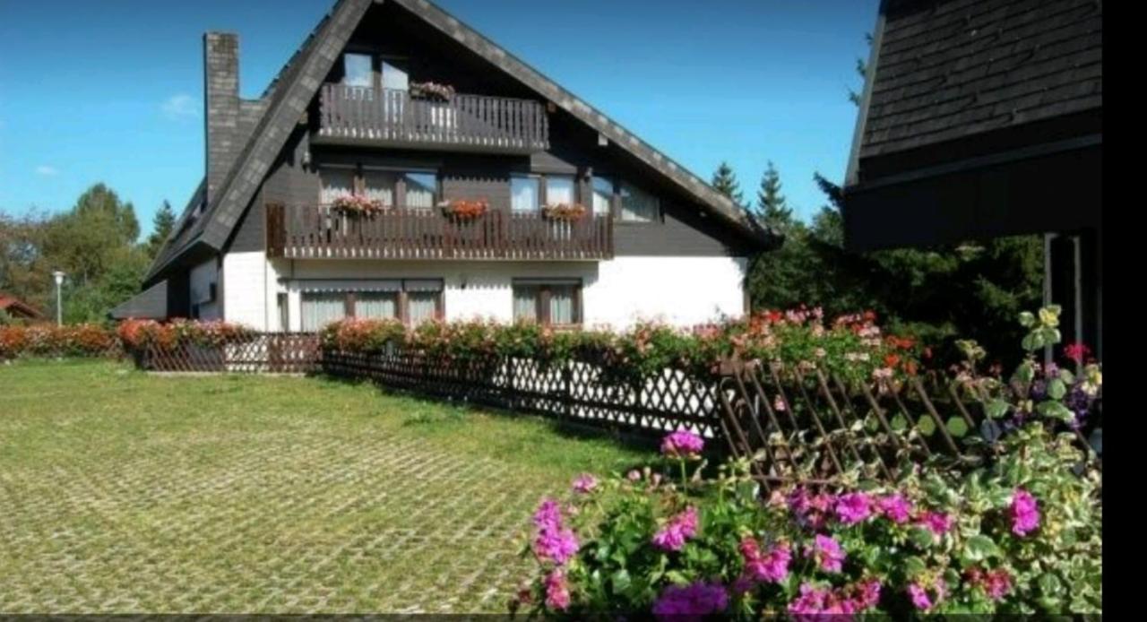 Ferienhaus-Schoenwald Im Herzen Des Schwarzwaldes 1Zimmer Wohnung Mit Terrasse App17 Extérieur photo