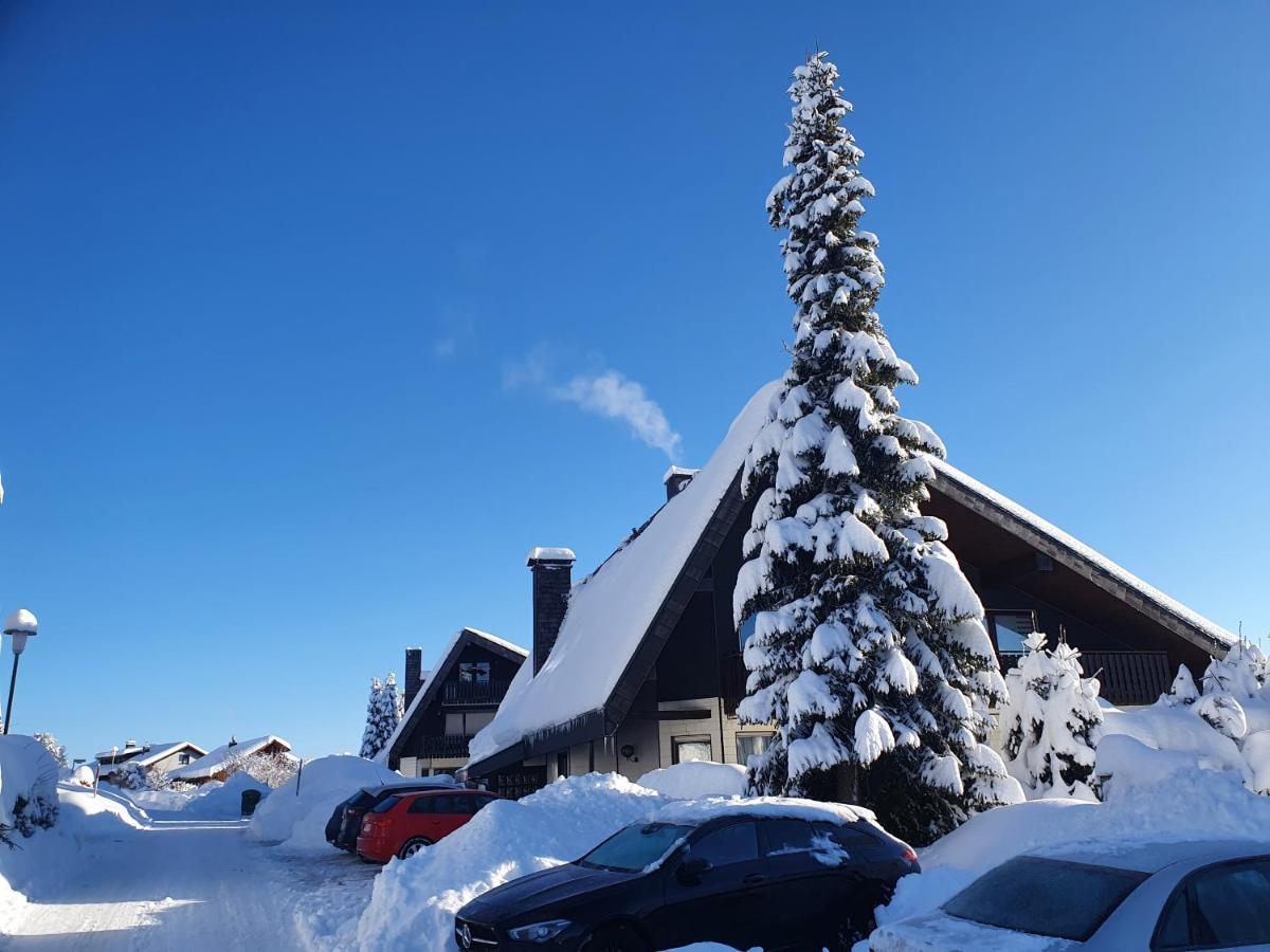 Ferienhaus-Schoenwald Im Herzen Des Schwarzwaldes 1Zimmer Wohnung Mit Terrasse App17 Extérieur photo