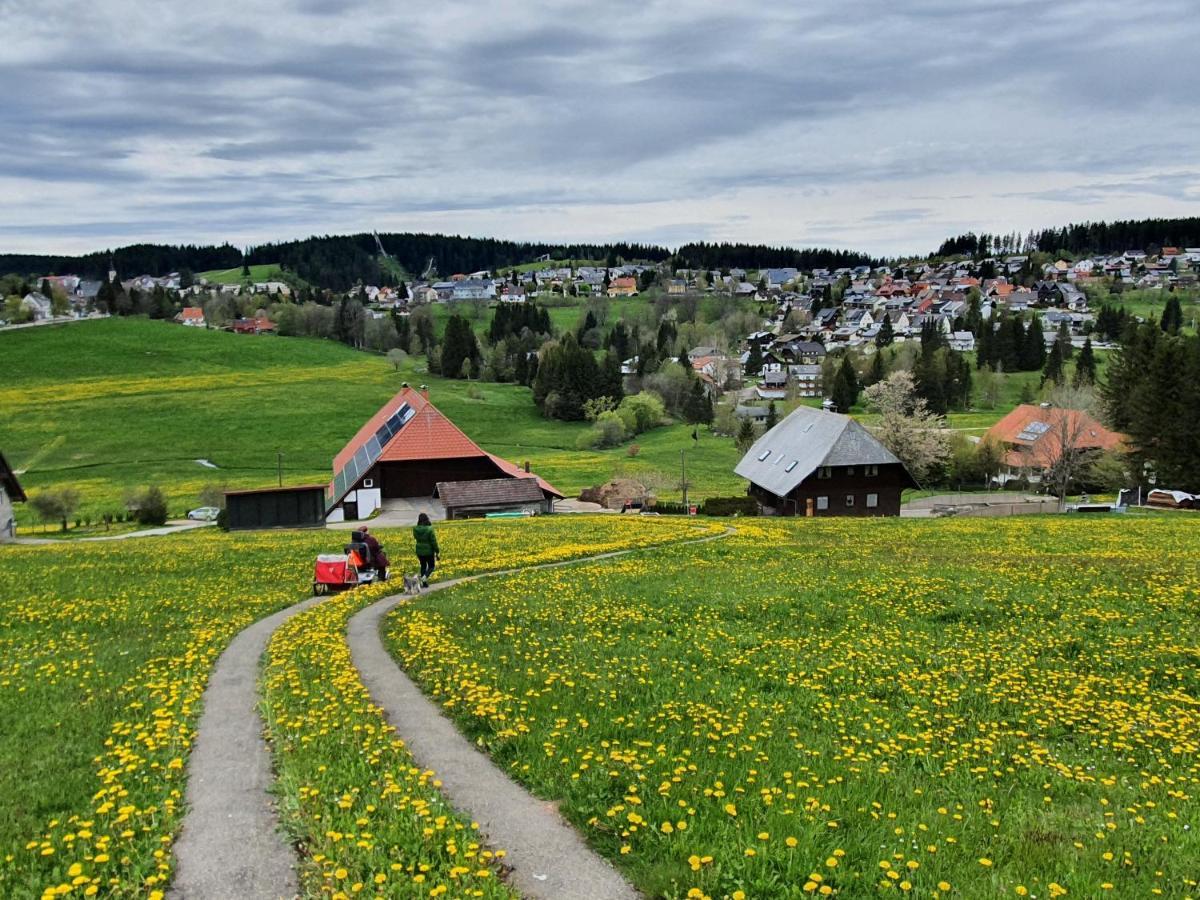 Ferienhaus-Schoenwald Im Herzen Des Schwarzwaldes 1Zimmer Wohnung Mit Terrasse App17 Extérieur photo