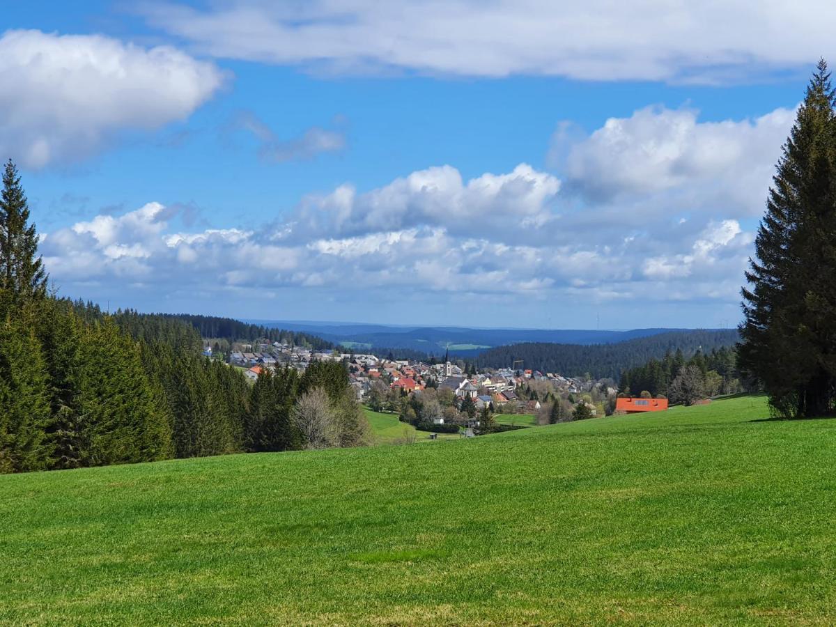 Ferienhaus-Schoenwald Im Herzen Des Schwarzwaldes 1Zimmer Wohnung Mit Terrasse App17 Extérieur photo